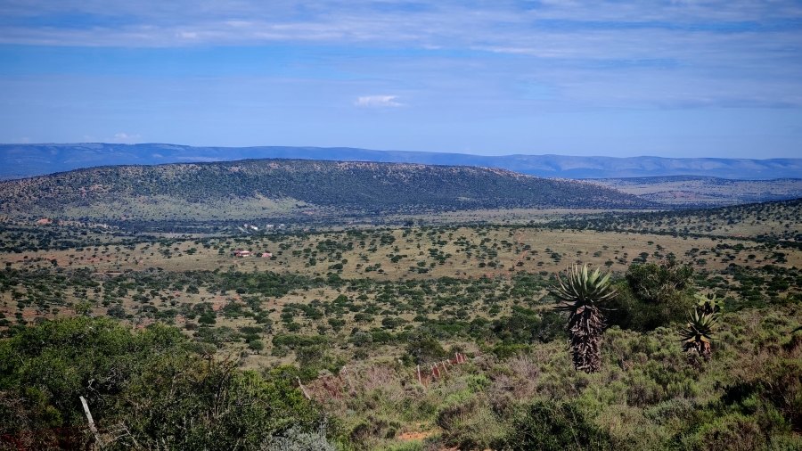 0 Bedroom Property for Sale in Somerset East Rural Eastern Cape